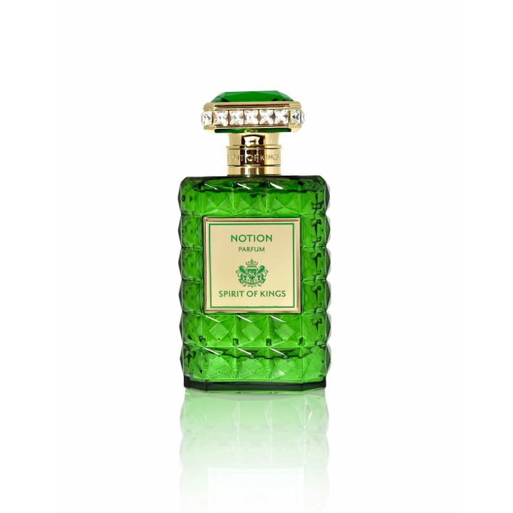 SPIRIT OF KINGS Notion